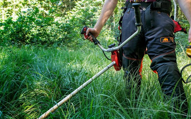 Dessouchage et débroussaillage